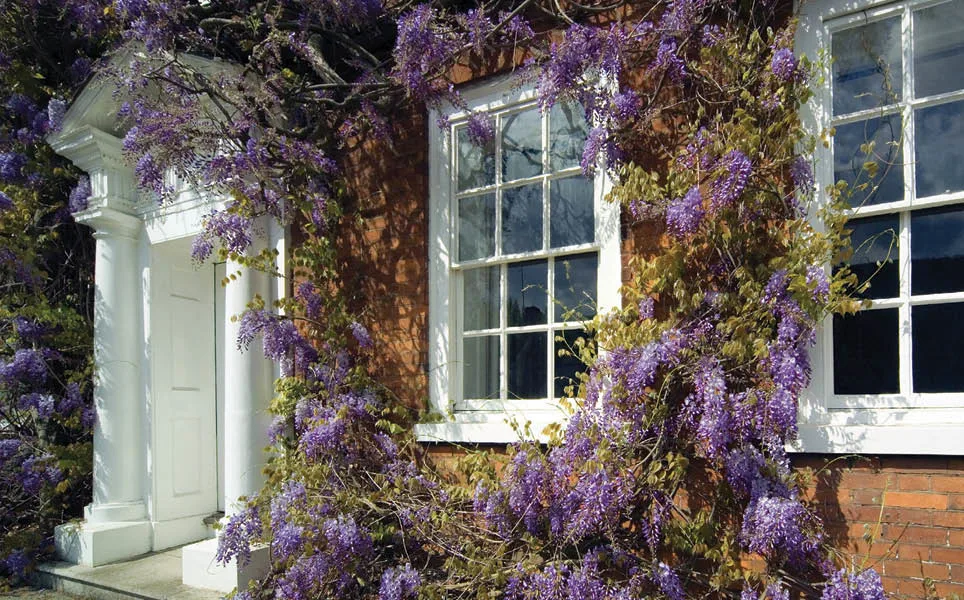 Timber Windows example